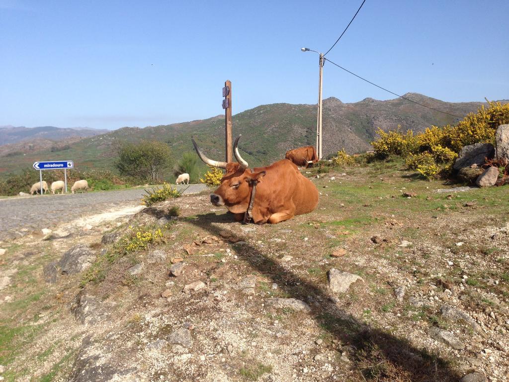 Cantinho Redondo Geres Entre Ambos os Rios Zewnętrze zdjęcie